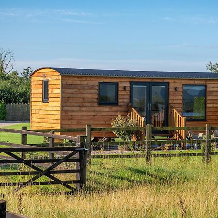 Wichenford Abberley Shepherds Hut - Ockeridge Rural Retreats酒店 外观 照片