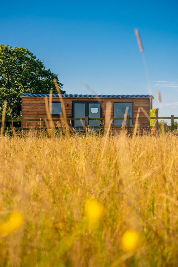 Wichenford Abberley Shepherds Hut - Ockeridge Rural Retreats酒店 外观 照片