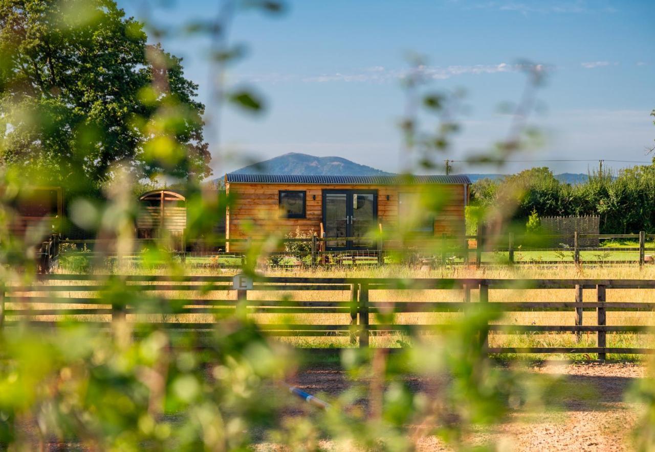 Wichenford Abberley Shepherds Hut - Ockeridge Rural Retreats酒店 外观 照片